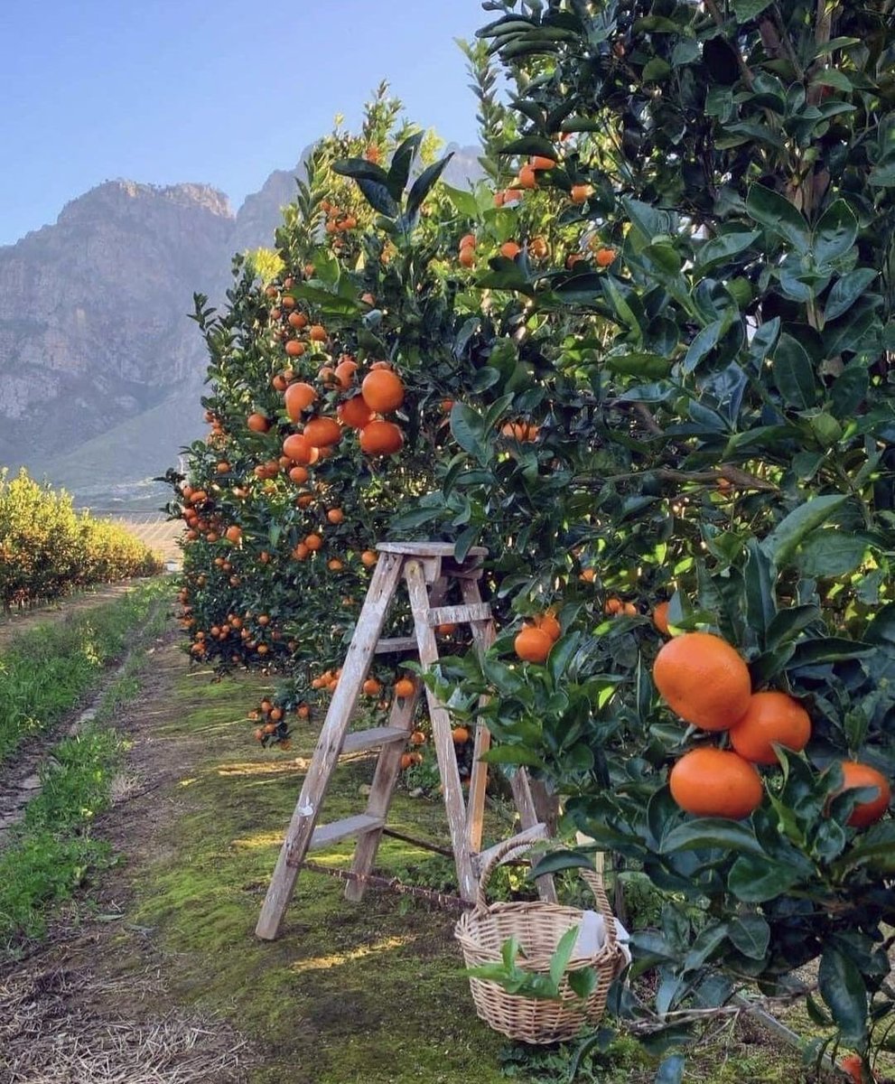 lavieestbelIe's tweet image. 