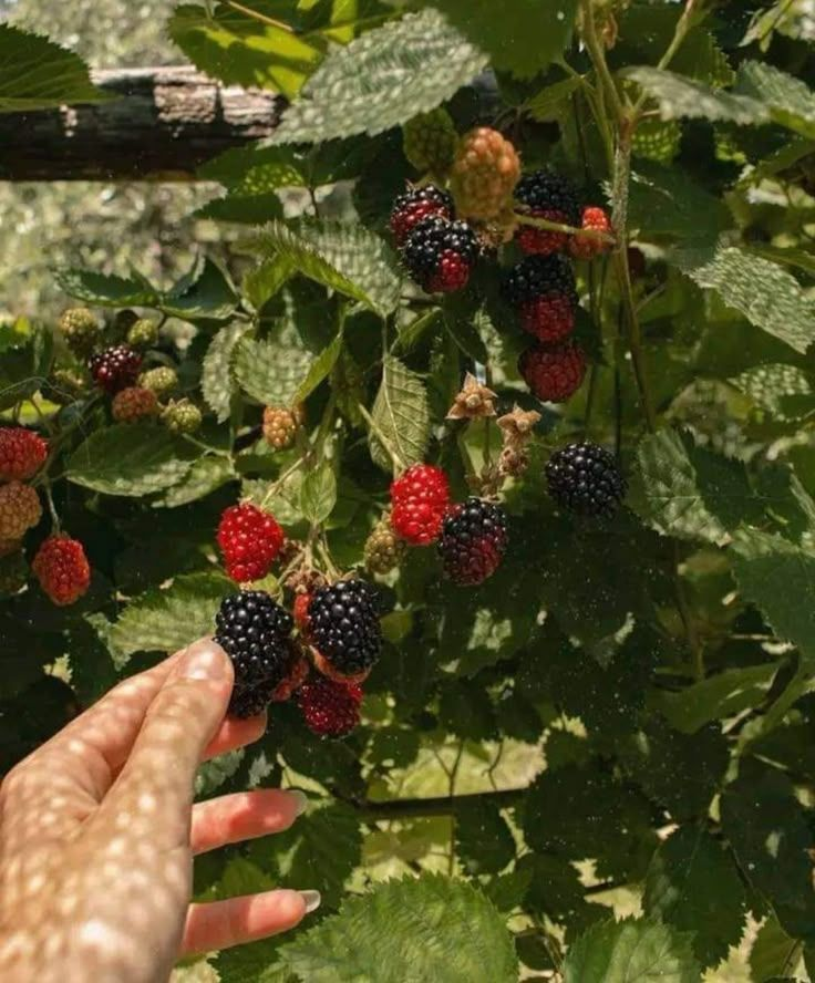 lavieestbelIe's tweet image. 