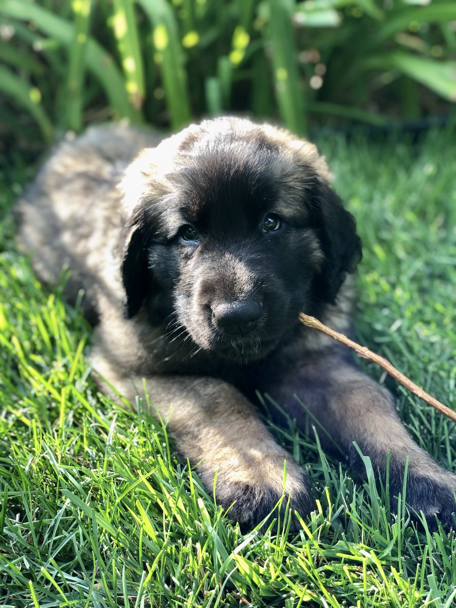 Reed Weber tweet media