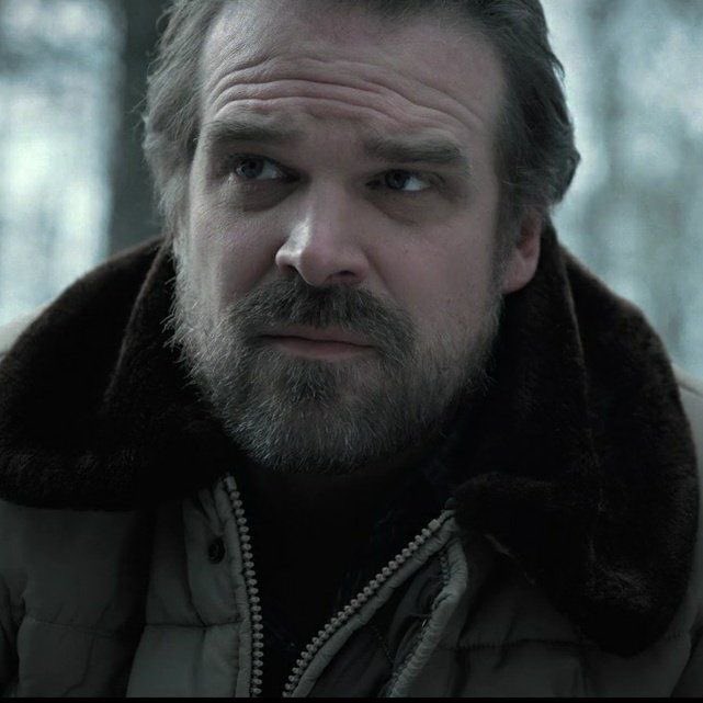 season 2 dad  jim hopper you will always be loved