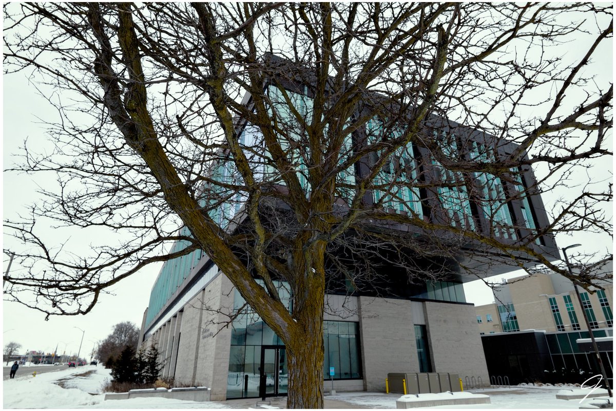 PYRAMID_BUILDER's tweet image. The cold life.