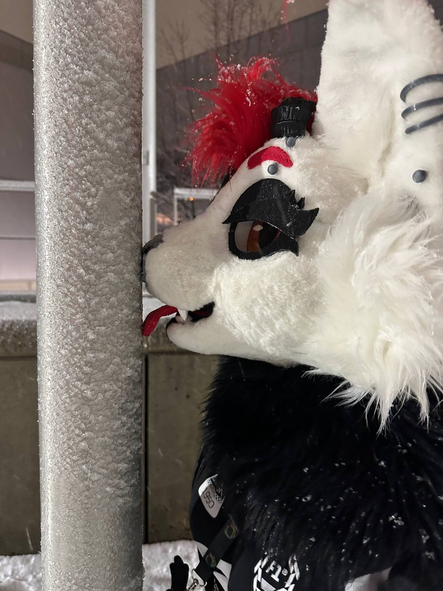 Ember❤️ tweet media