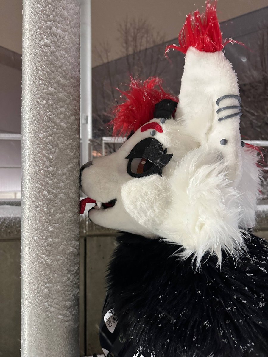 Ember❤️ tweet media