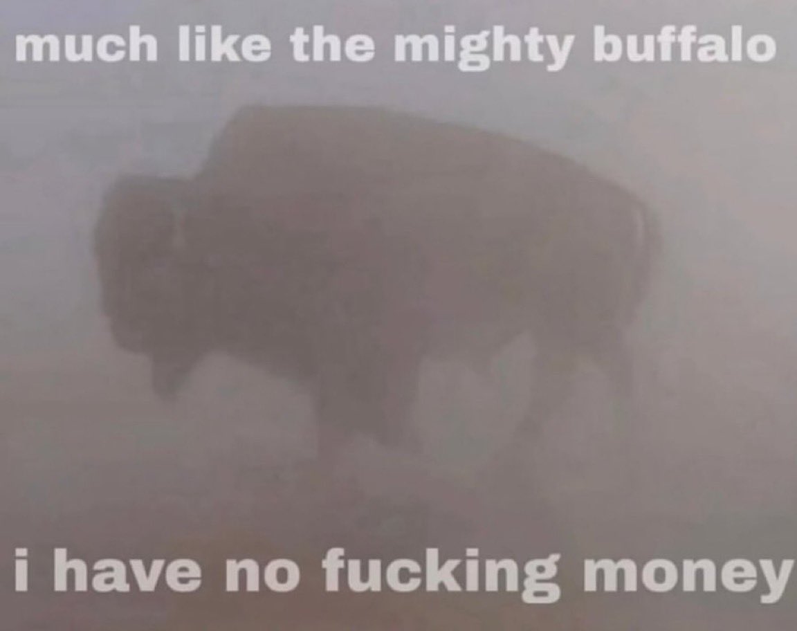 pugsly (@pugslyyyyyy) on Twitter photo 