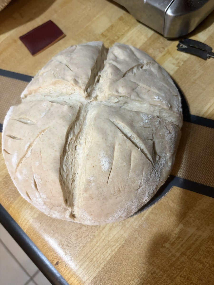 TexasRaptor 🔜 FWA tweet media