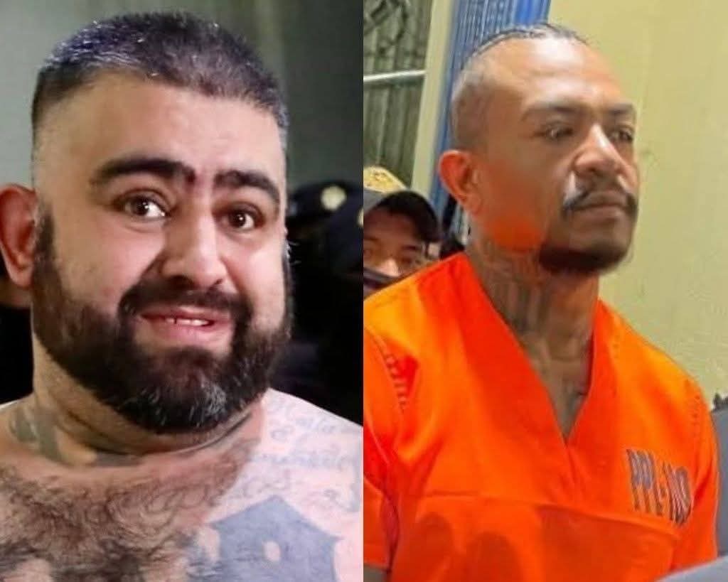 Ubaldo Macú tweet media