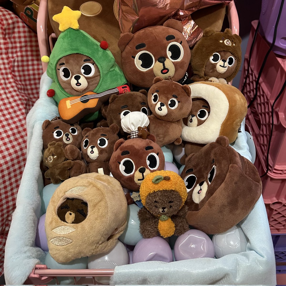 곰뭉 tweet media