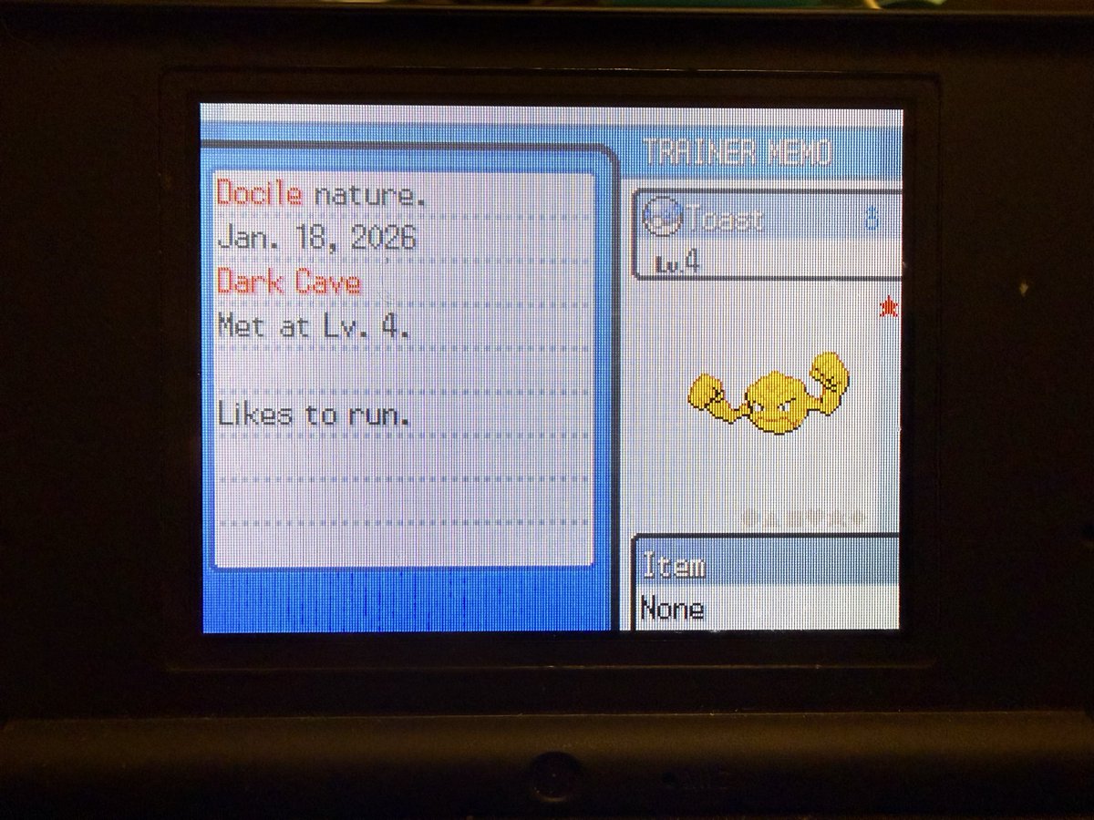 Shiny Geodude at 3600!! Number 2 for the SoulSilver SBQ!