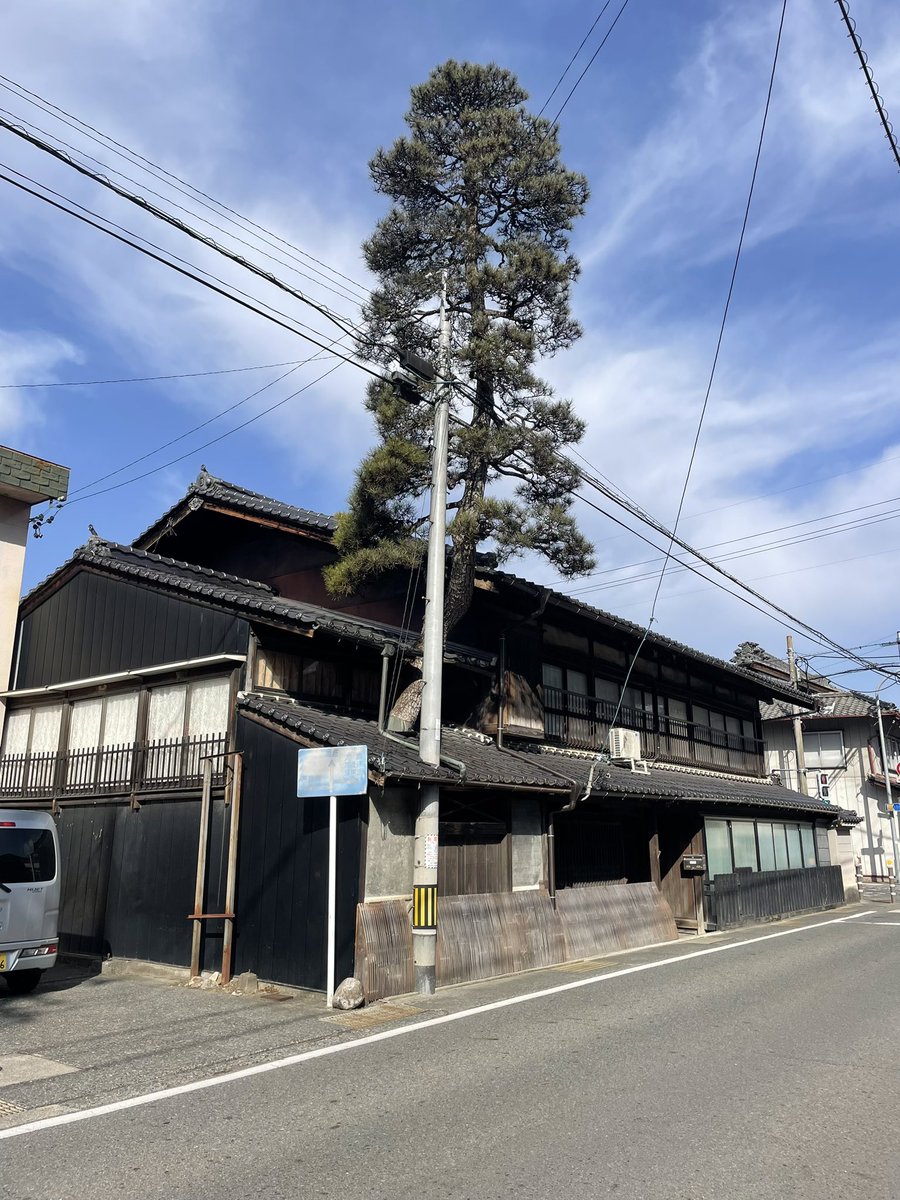 Bluff_Bakery's tweet photo. 喬木村の旧街道沿いで三度見した民家。
松が屋根を貫いている😳
#民家探訪 https://t.co/H2GwkZ9zr1