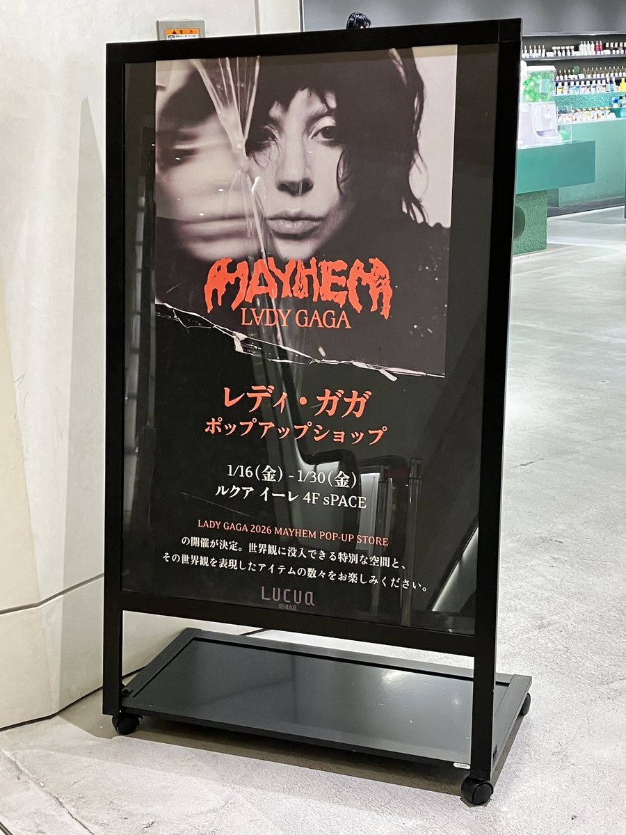 ごまめ 🦖 (@shimikyou) / Posts / X