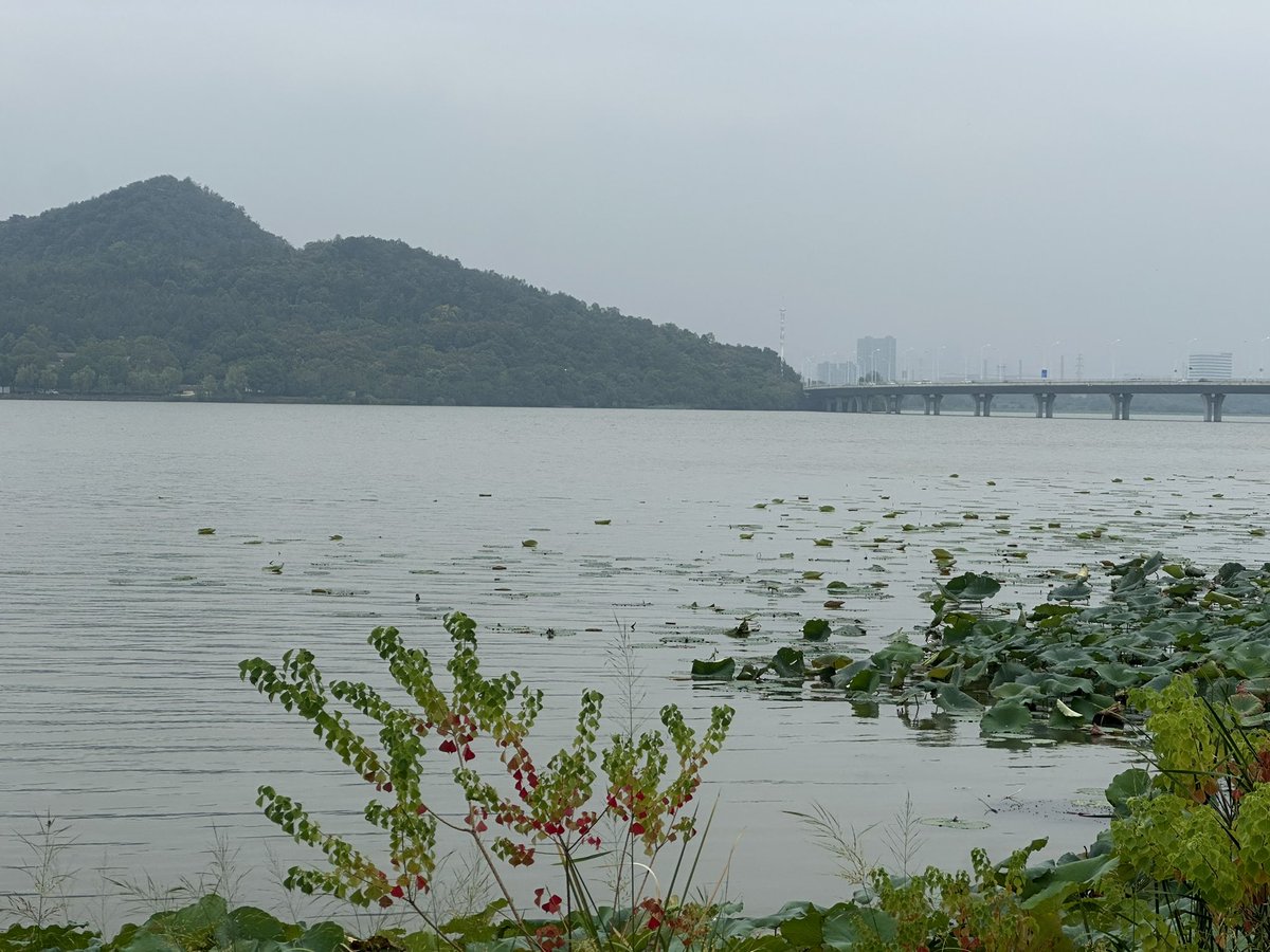 hao (@hao676881173770) on Twitter photo 