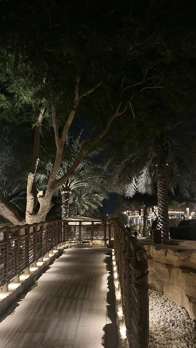 تبرد ليالي نجد مع طلعة سهيل
وأهيم في ليل الرياض وهواها🤍