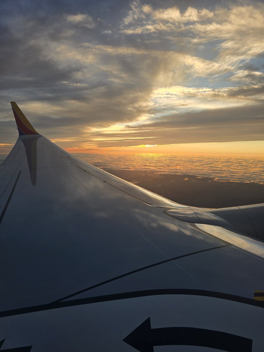 Ed Strapp tweet media