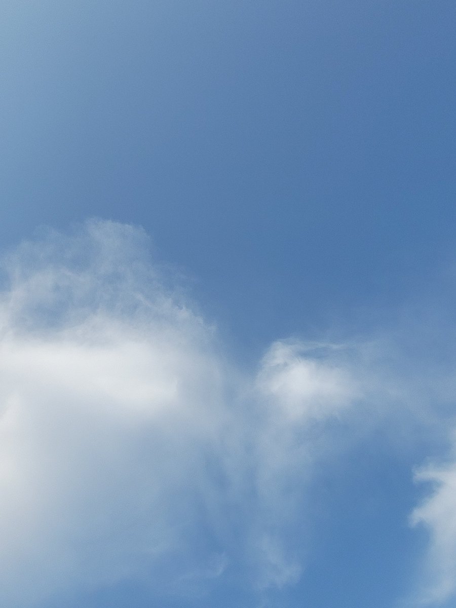 1月19日(月) 職業訓練、今日もCAD。 歯医者どうしようかな？ 夕飯何にしよう？ 帰ったらまた危険物の勉強しなくちゃ！ 今日もいい日に！