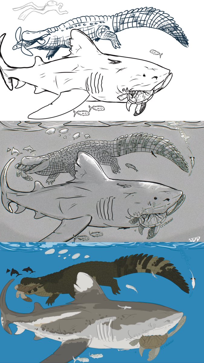 astrapionte's tweet photo. Hey yall! Back at it! Commission WIP!
#paleoart #megalodon #purussaurus https://t.co/KuH295h4Wl