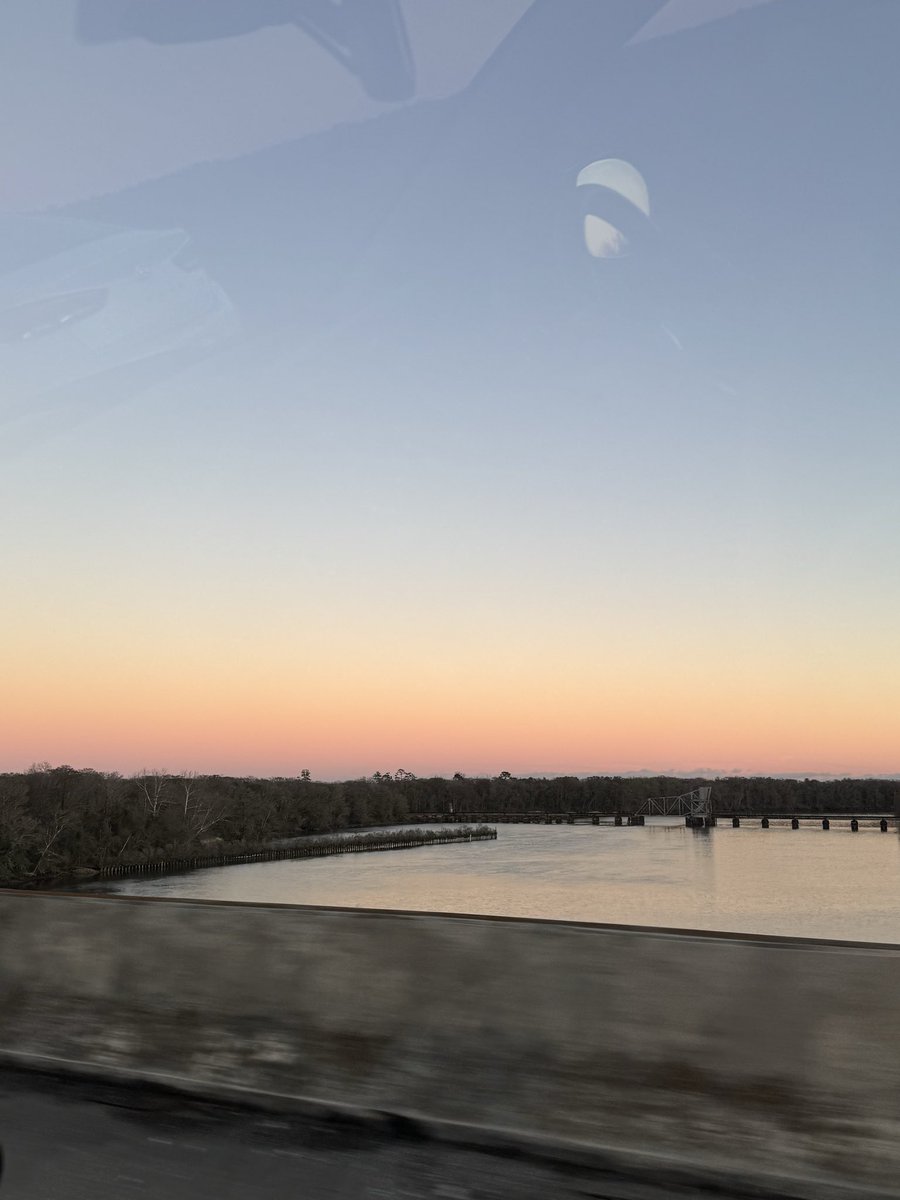 Allie McDowell tweet media