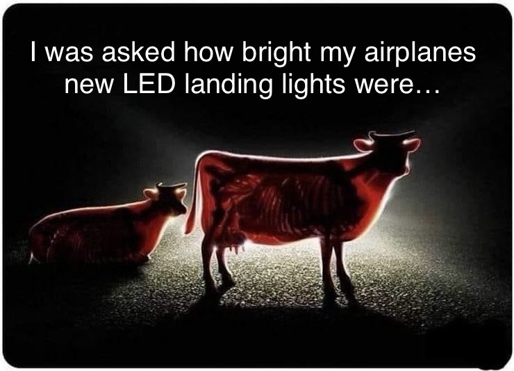 Vincent Vega (@vincent5327827) on Twitter photo 