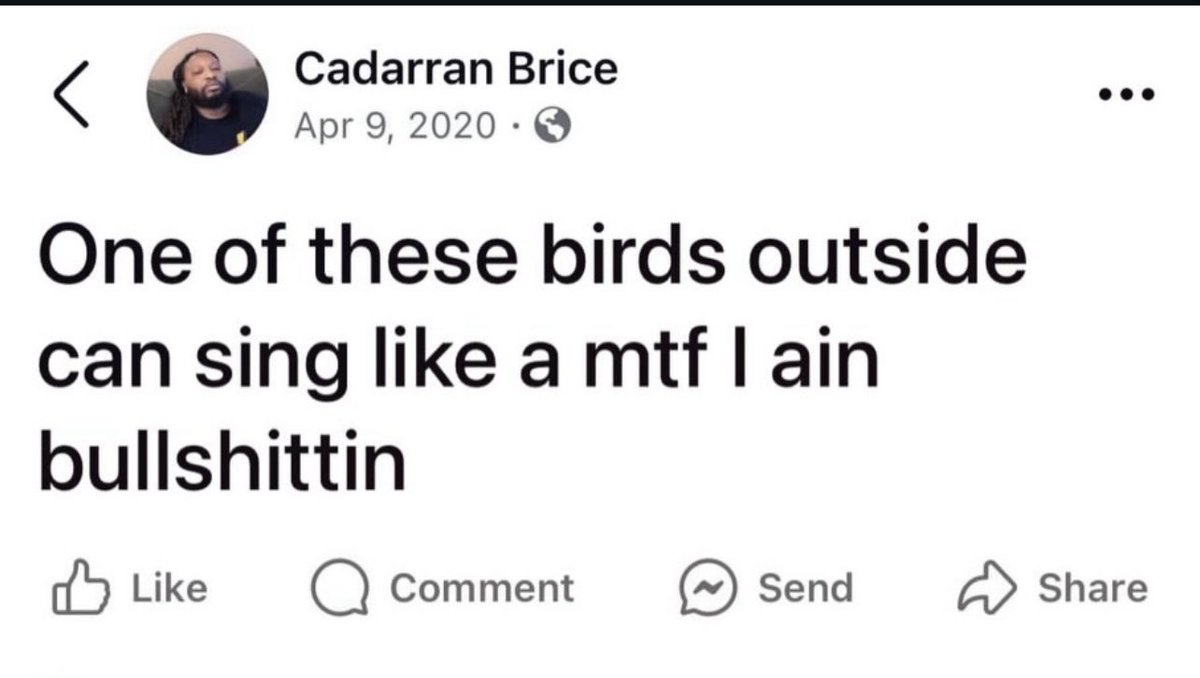 Perc 𒉭 (@percthagoat) on Twitter photo 