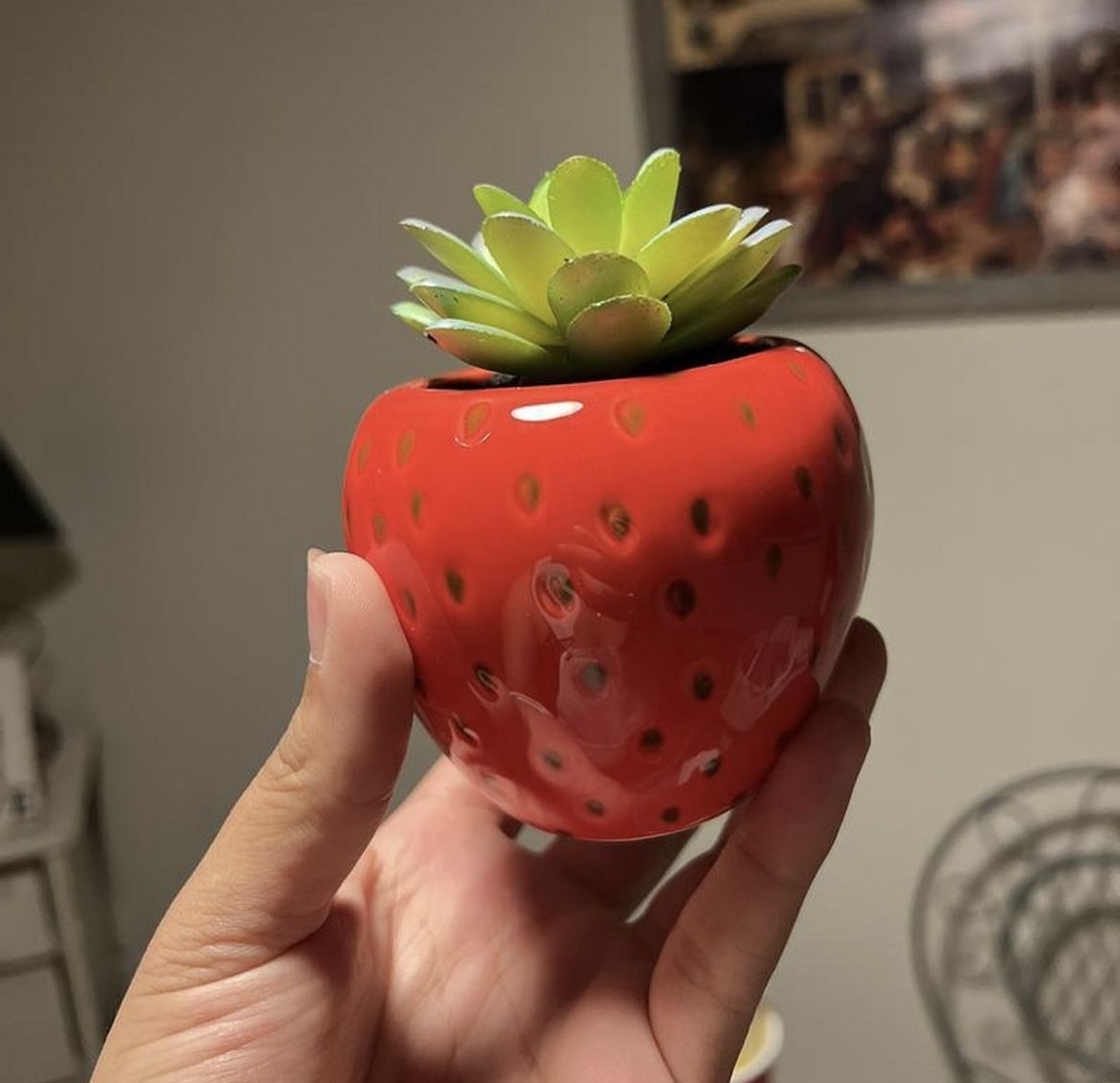 strawberry succulent