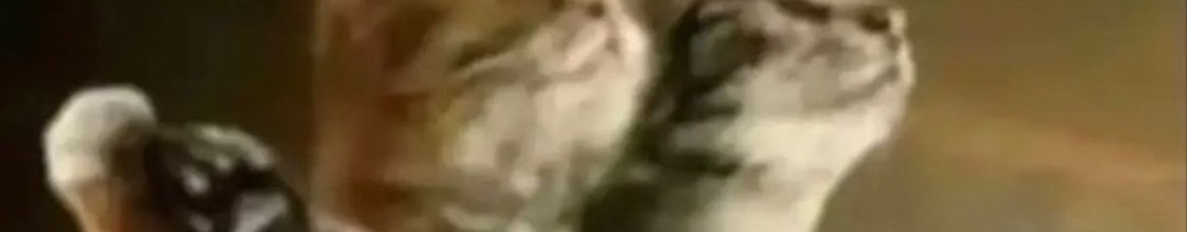 Aa7_Win's tweet image. Tap the Post to see Titanic