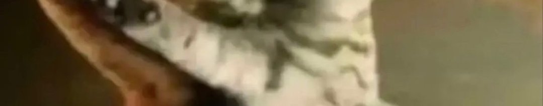 Aa7_Win's tweet image. Tap the Post to see Titanic