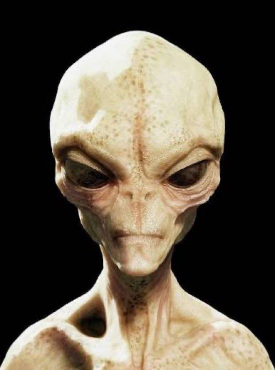 VidsParanormal's tweet photo. La Banque d'Angleterre a été invitée à se préparer à un chaos boursier si les États-Unis annoncent l'existence d'une vie extraterrestre. https://t.co/0qSfMPRmUd