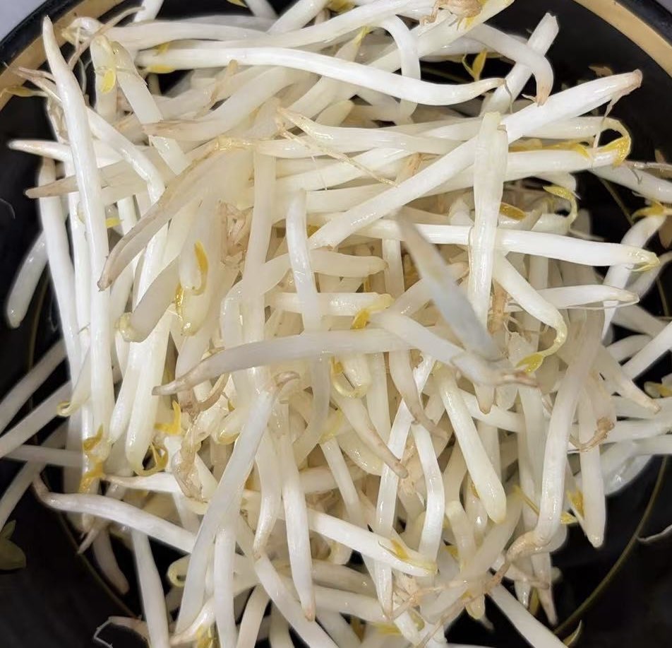 本日のフォロワーサービス🈂️ もやし フォロワー様無料 スタッフに