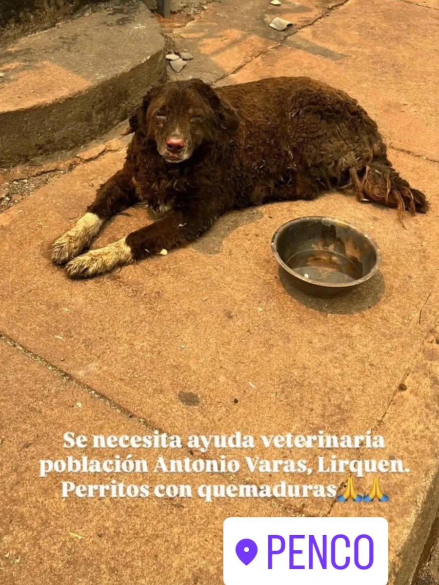 bluesarmonica's tweet image. 