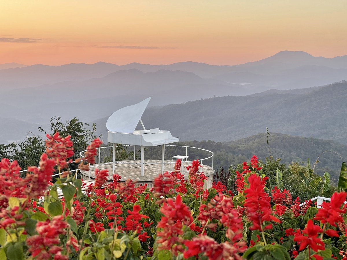 Likeview3's tweet image. ยามเย็น...  เราพากันเดินเล่น... 
(เพลงดักชรา  แปลว่า  มากกว่า แก่🤣)

#สวนยิ่งยง #ม่อนแจ่ม
18/1/69