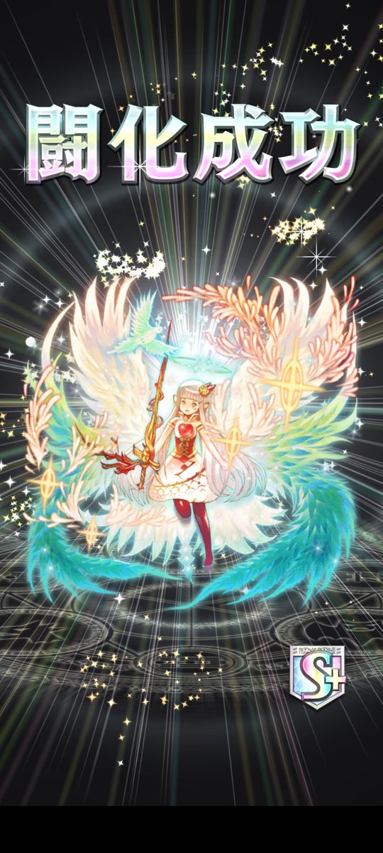 たー。ദ്ദി^._.^) tweet media