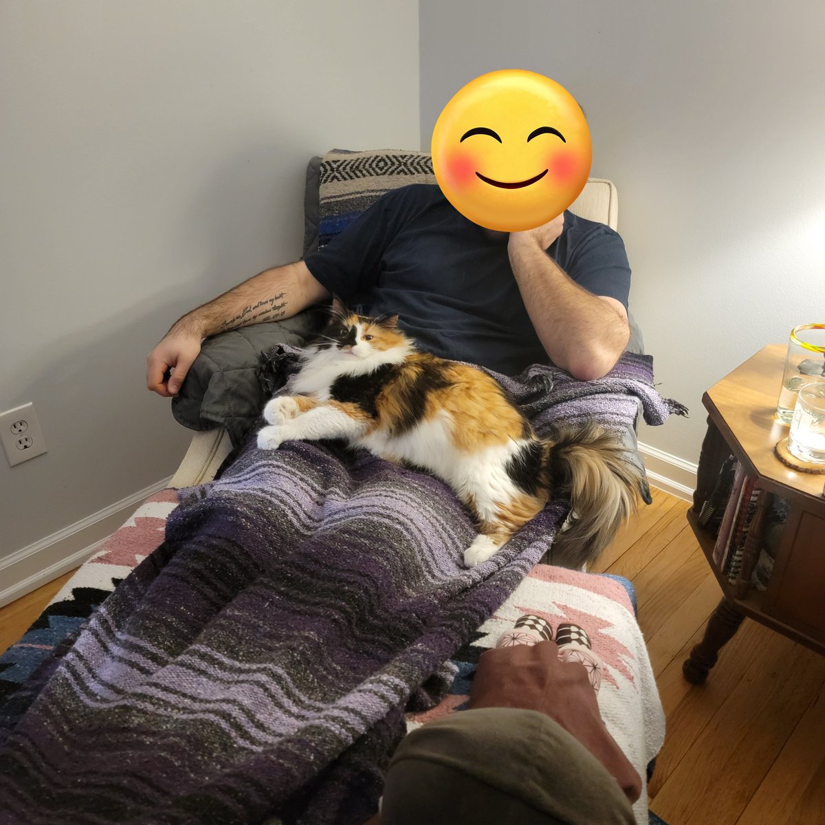 Koi: Scritches from mine daddy 😸