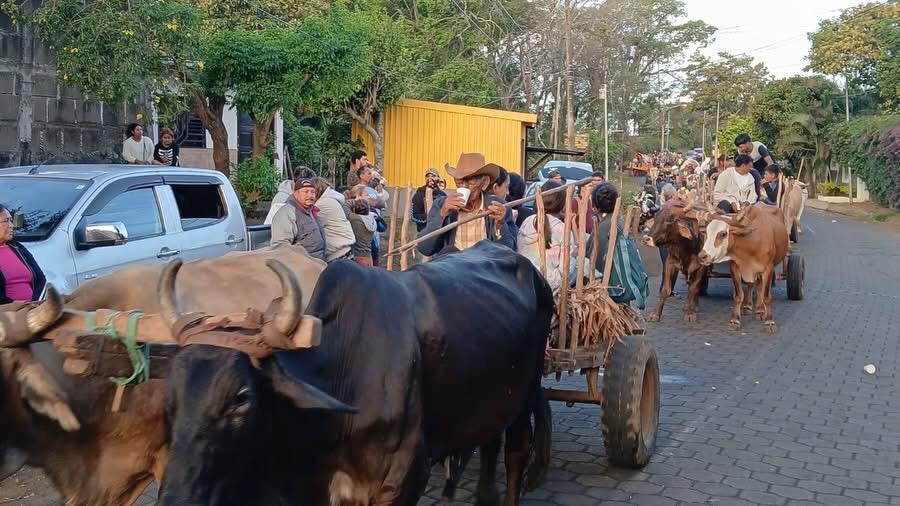 Con mucho fervor y profunda devoción 🙏✨, promesantes de las comunidades rurales de #Diriamba protagonizaron el tradicional desfile de carretas peregrinas 🚜🌾 en honor a nuestro Santo Patrono San Sebastián 🏹❤️.