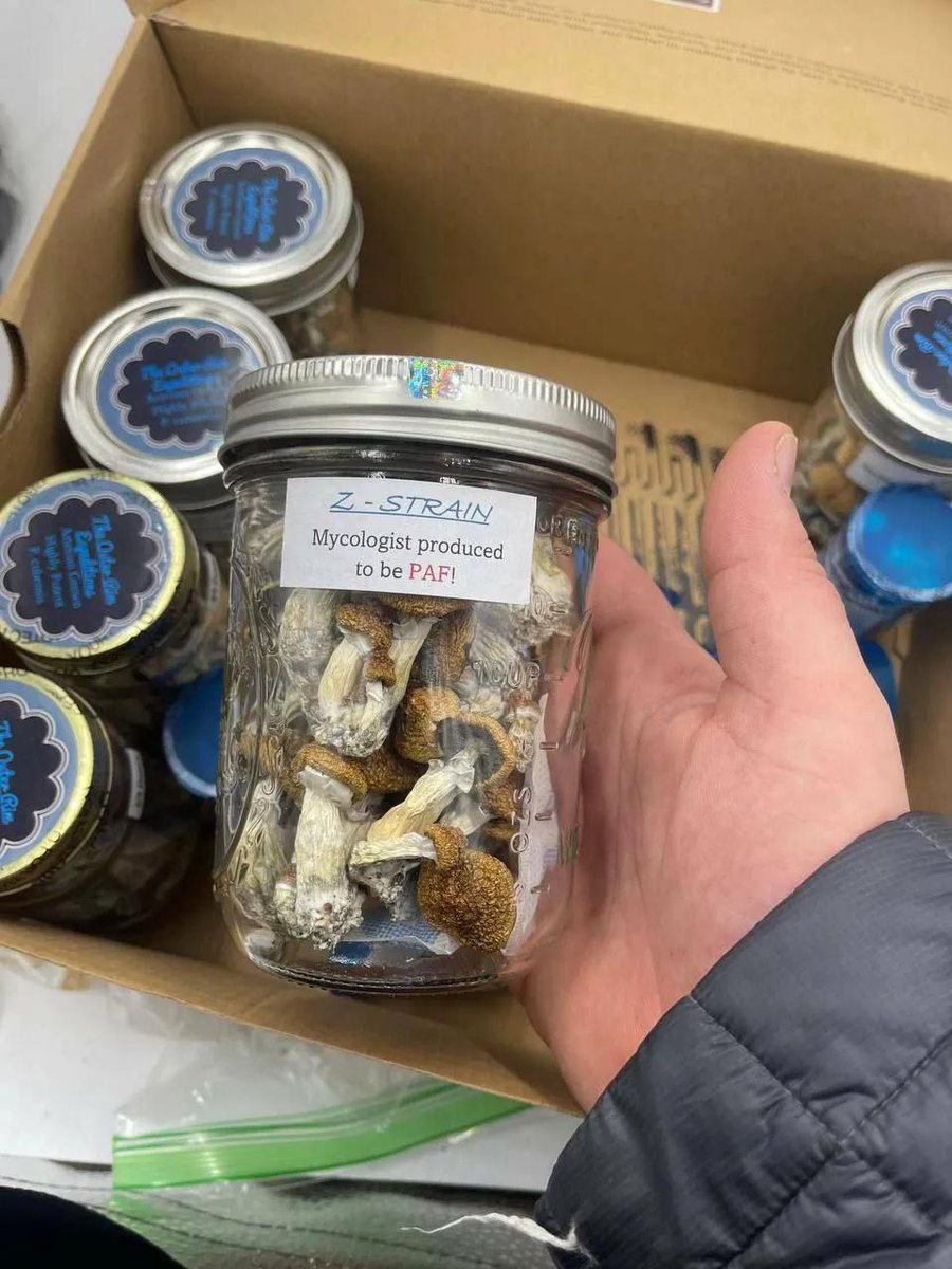 manchester0_'s tweet photo. Get weed coke LSD
London weed
weed manchester 
weed Salford 
weed Edinburgh 
weed reading 
weed Droylsden 
weed Prestwich 
weed Oxford 
weed birmingham 
weed Middleton 
weed Bristol Whitefied 
Leicester Liverpool
Stockport shrooms https://t.co/GzATpvuTPO