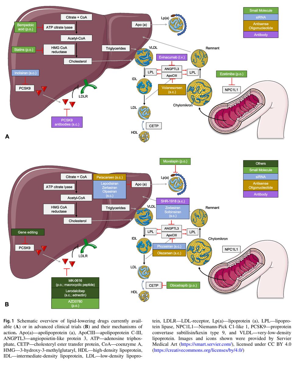 DYSLIPIDEMIA MANAGEMENT 2026
✍️JUST PULBISHED BY <a href="/ClinMedJournals/">Springer Medicine Journals</a>:
✍️Practical guide to the management of dyslipidaemia
✍️Very nicely written review on traditional and newcommer agents on lipid-lowering therapy
link.springer.com/article/10.100…
#pelacarsen #evinacumab #muvalapin #olezarsen