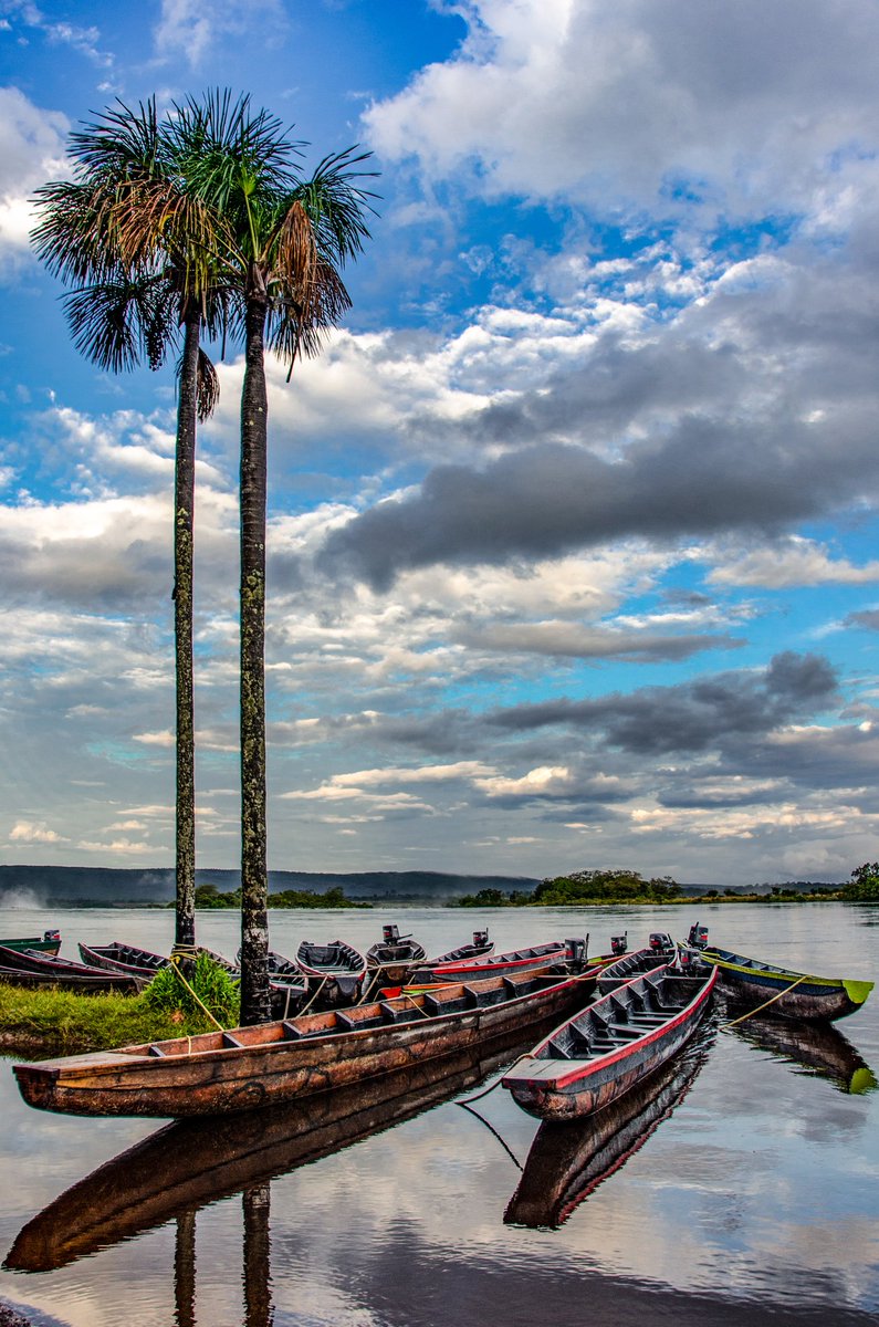tineophoto's tweet image. #Canaima 

Compren mis fotos de Paisajes, acá les dejo el portafolio drive.google.com/file/d/1UypqNb…

Info al DM 📩

@tineophoto