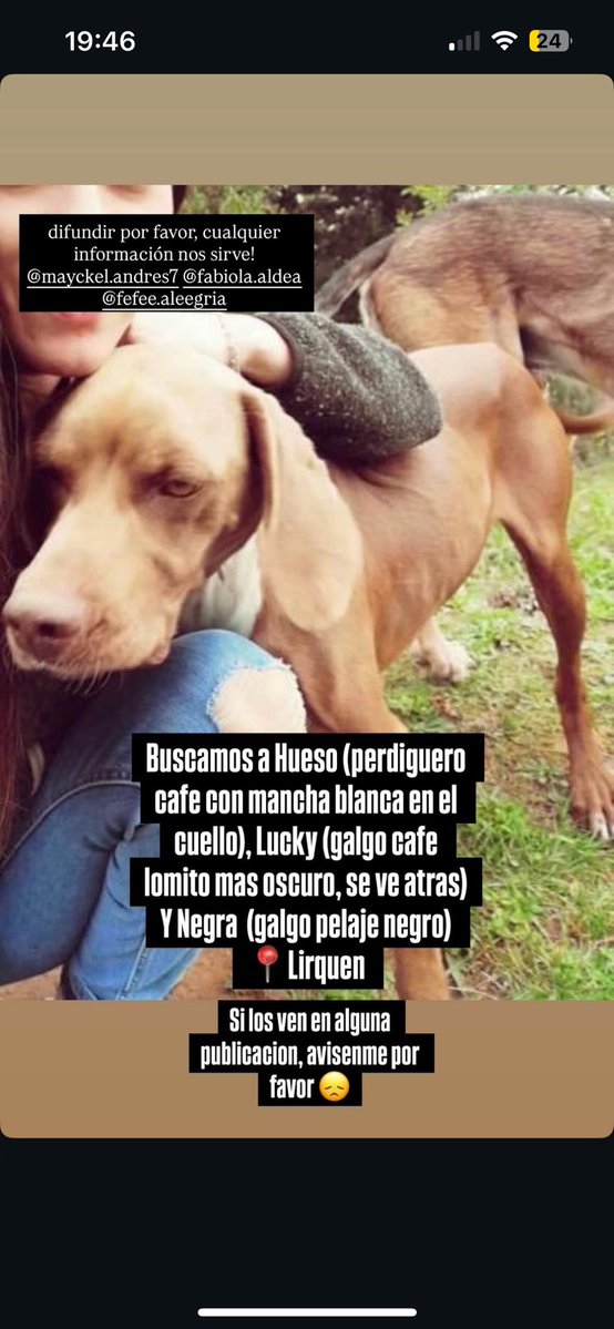 COMPARTIR!
La familia de una amiga perdió todo en Lirquen y perdieron a sus mascotas! Encontraron al Lucky (galgo café) en Penco, es decir que han caminado bastante! PORFAVOR SI ALGUIEN SABE ALGO O LOS HAN VISTO PÓNGANSE EN CONTACTO!
#IncendioForestal 

+56973928640
+56965799766