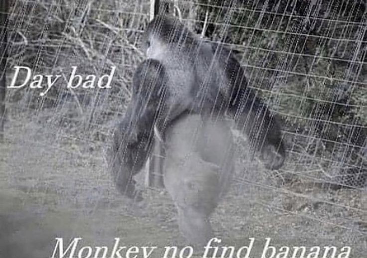 VIL8 (@vill899) on Twitter photo 