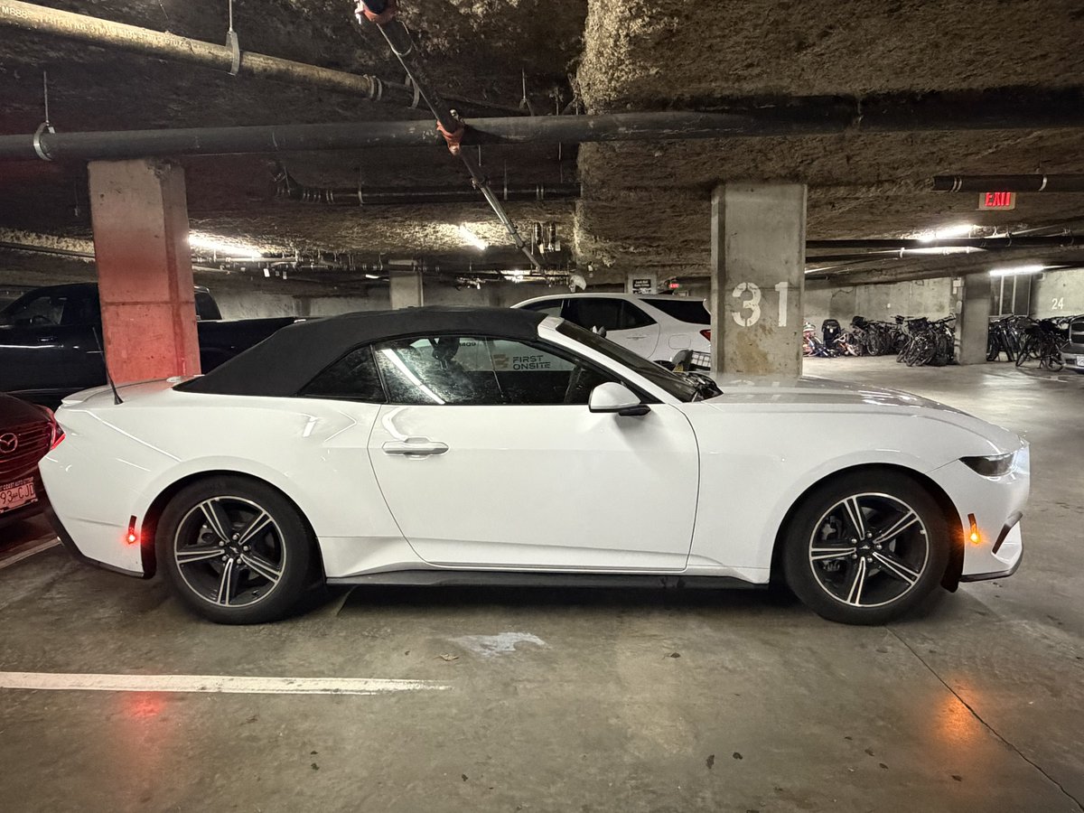 Driving this piece of shit mustang until insurance pays out for my Benz being a write  off cause a Tesla on auto pilot drove right into my shit 👍🏽