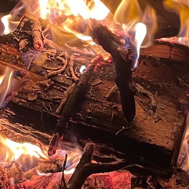 Buzzy__Gran's tweet image. You can just make a bed in front of your fireplace. No one can stop you.