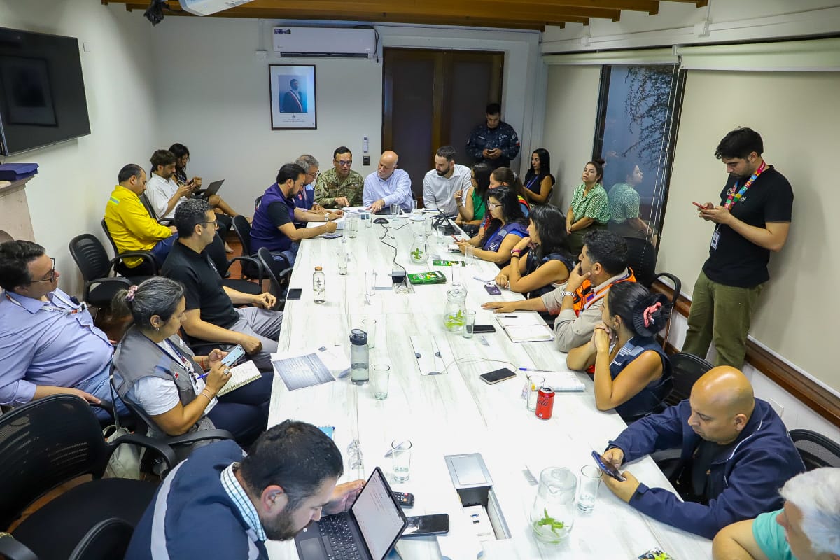MinagriCL's tweet image. Desde Chillán, en dependencias de @Senapred Ñuble, la ministra Ignacia Fernández junto al ministro de @min_interior, Álvaro Elizalde, el subsecretario de @SubseDefensa, Ricardo Montero, equipos de @conaf_minagri y autoridades locales, participan del COGRID Nacional para…