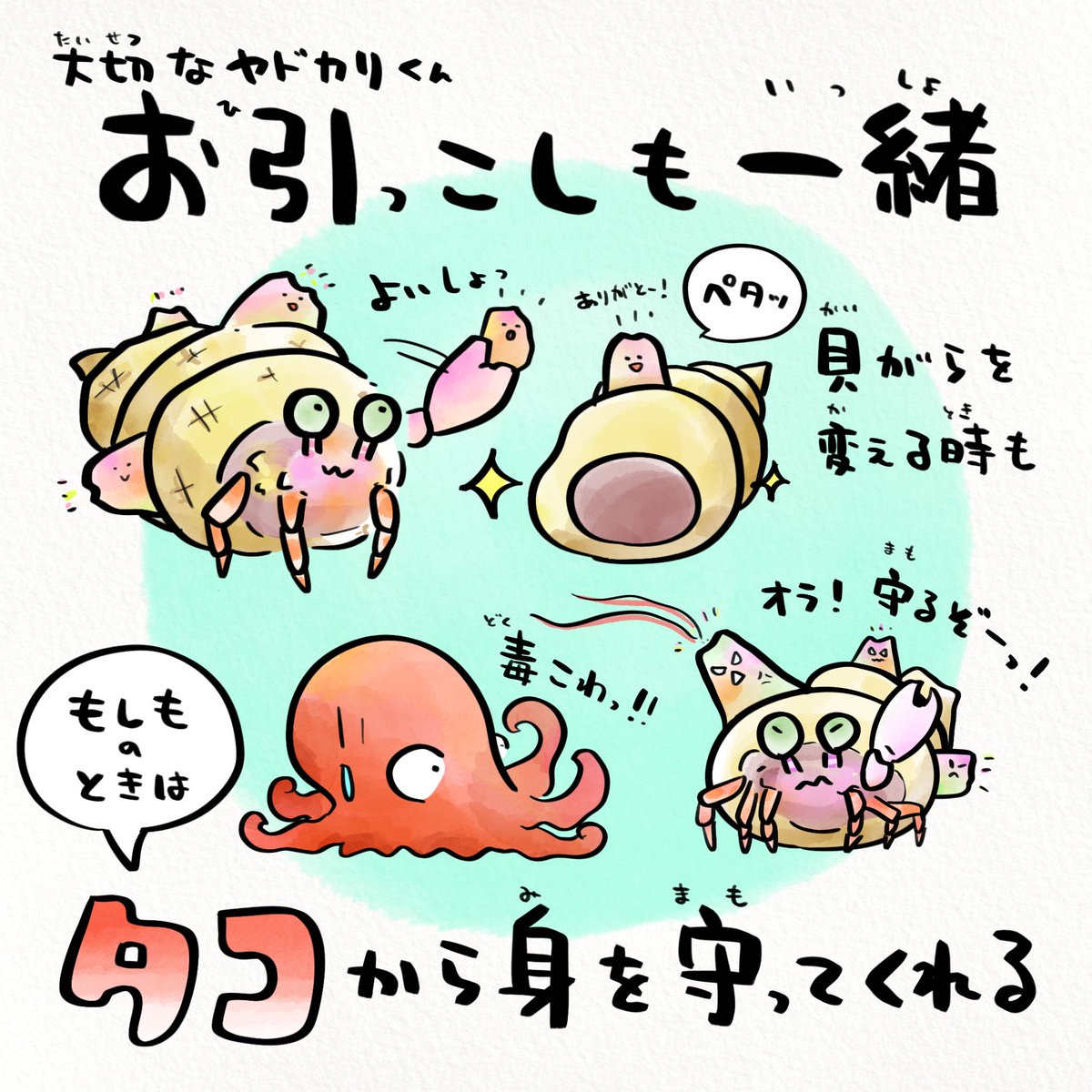 さかなのおにいさん かわちゃん (@sakana_bro) / Posts / X