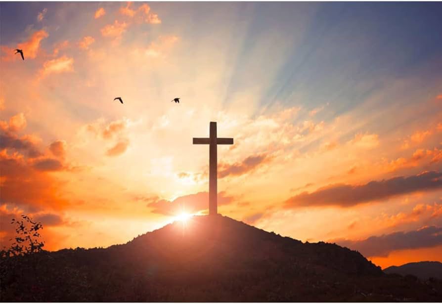 Seguimos con profundo dolor las informaciones sobre el grave accidente ferroviario ocurrido la tarde de ayer en Adamuz (Córdoba). Nuestra oración por el eterno descanso de las víctimas, por la recuperación de los heridos, y por sus familias; también por quienes trabajan en las