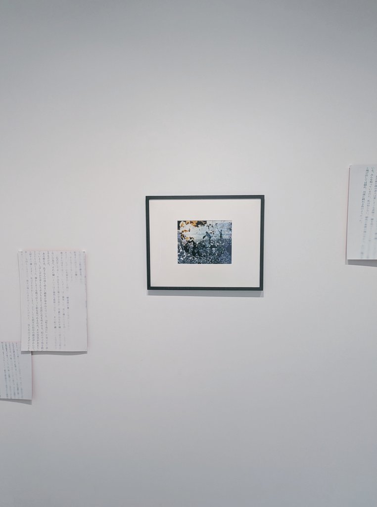 千葉県美の展示は終わりましたが、外苑前のLAGでの関連展示は今週土曜まで続いてます！
写真と学芸員Ｋとの対話、本物の学芸員Ｋの論考が掲載された図録も販売してます！両Ａ面ＣＤみたいな面白い本なので是非見てみてください（多分まだ青山ブックセンターと千葉そごう三省堂にもあります）