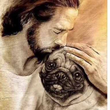 andrebarrera's tweet image. #NewProfilePic