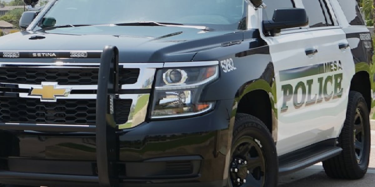 azfamily's tweet image. Nearly 100-person fight cancels youth games at Mesa sports complex azfamily.com/2026/01/19/nea…