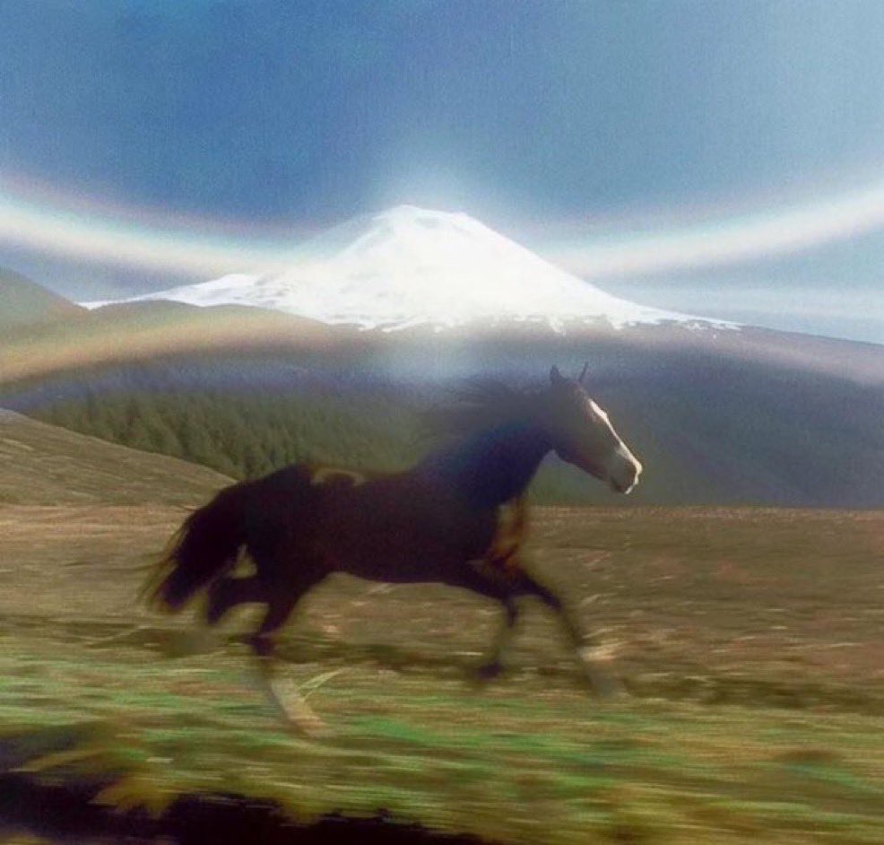 Wake
Train maxxi
Sun maxxi
Read maxxi
Self mastery maxxi
Sex maxxi
Movies maxxi
Sleep maxxi

Repeat the cycle