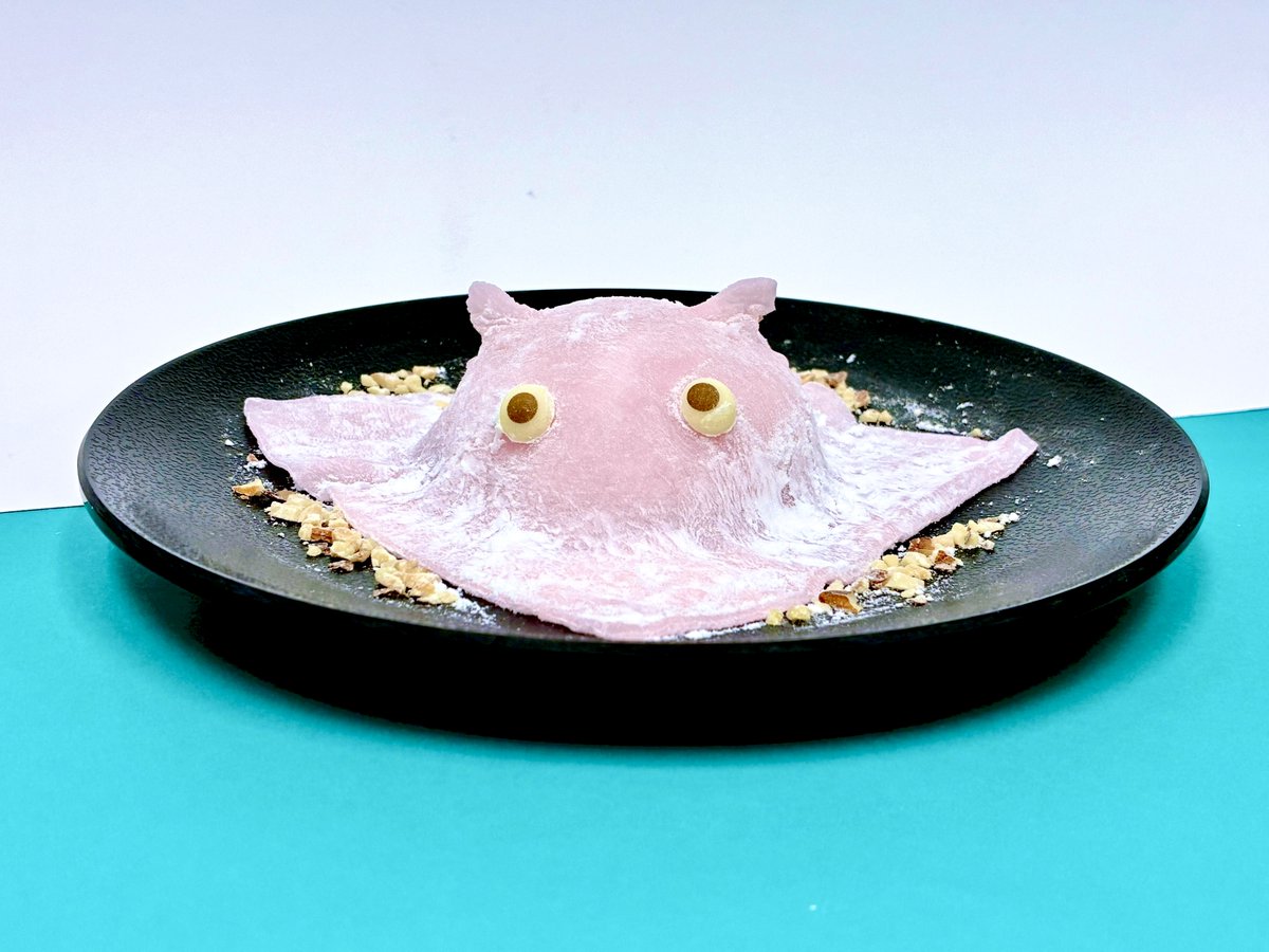 ≪レストランより新メニューのお知らせ≫
 
深海生物で人気のメンダコをイメージしたデザートを、
1/23（金）より期間限定で販売します！
 
 深海の仲間 メンダコのいちごケーキ　￥650（税込）
 
ひょっこり立ってるヒレが So Cute！
別添えの黒蜜をかけてお召し上がりください😋
 
#かさりん