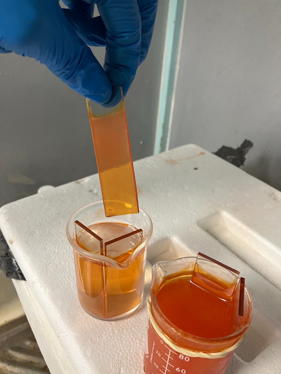 Jesús Capistrán tweet media