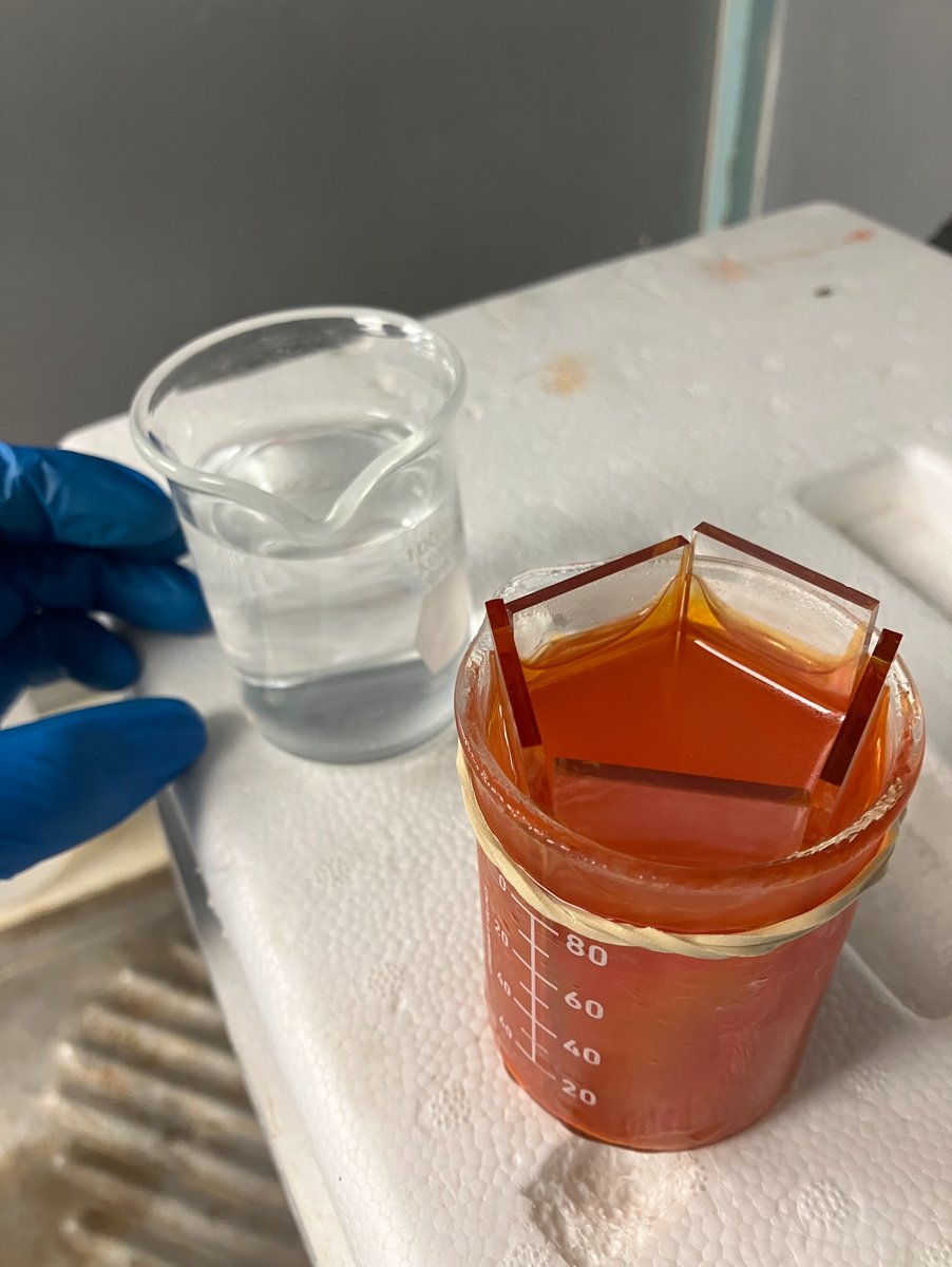 Jesús Capistrán tweet media