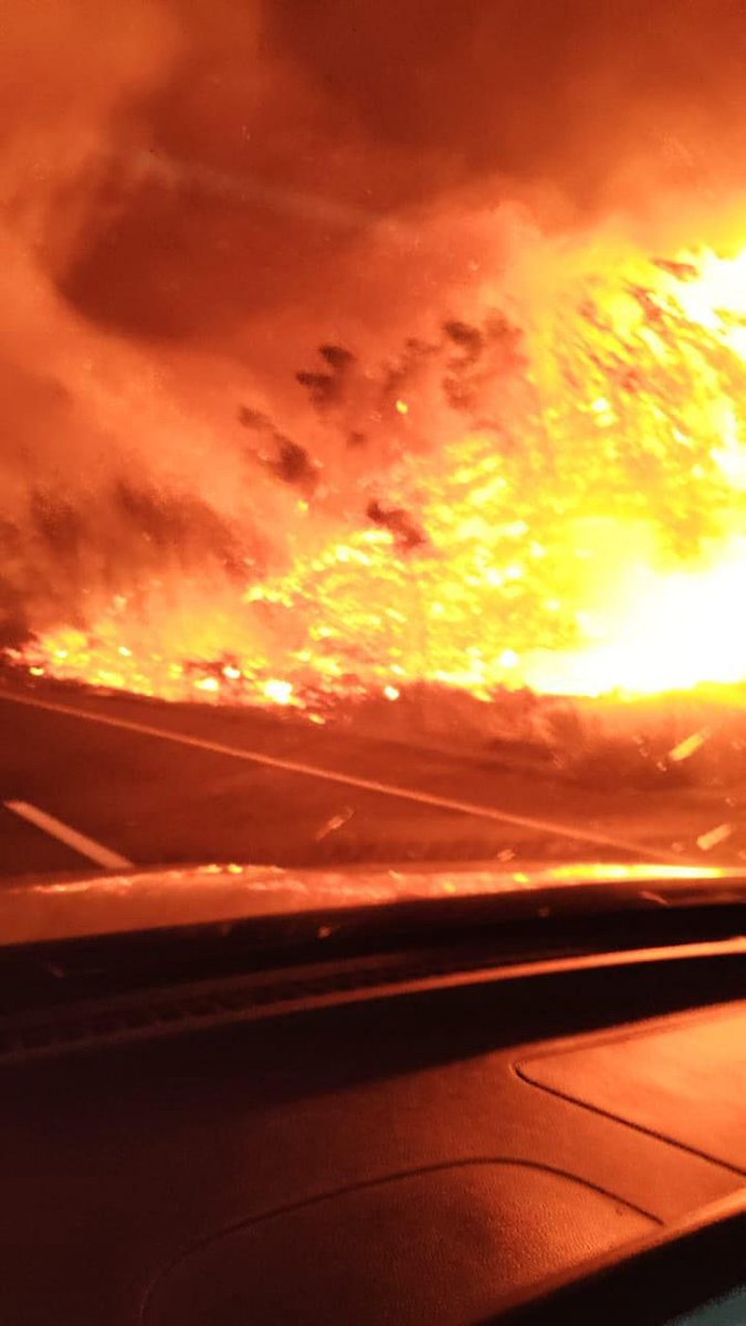 TanaBorsottob's tweet image. En emergencias no hay espacio para el relato. Con el Presidente Sebastián Piñera (QEPD) había Presidente en terreno, cifras sobre la mesa y decisiones inmediatas. Hoy hay ausencia, descoordinación y excusas. La diferencia no es política, es de liderazgo